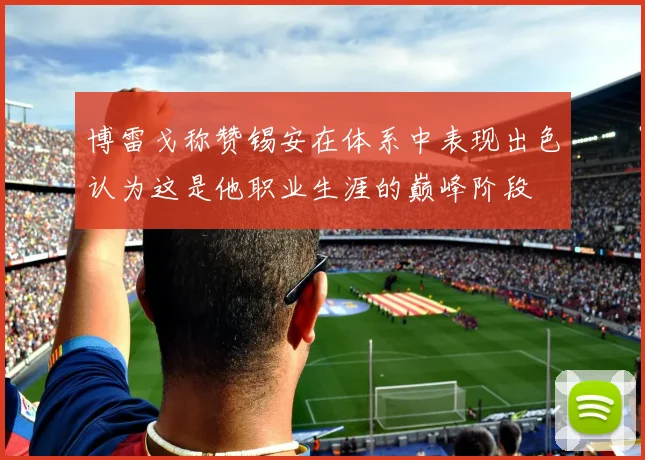 博雷戈称赞锡安在体系中表现出色认为这是他职业生涯的巅峰阶段
