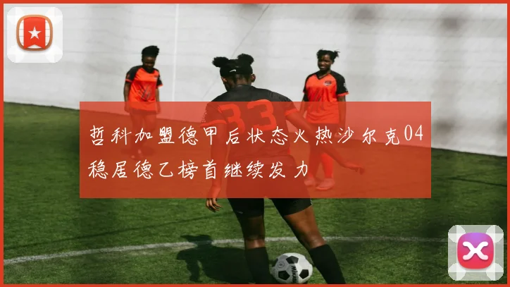 哲科加盟德甲后状态火热沙尔克04稳居德乙榜首继续发力