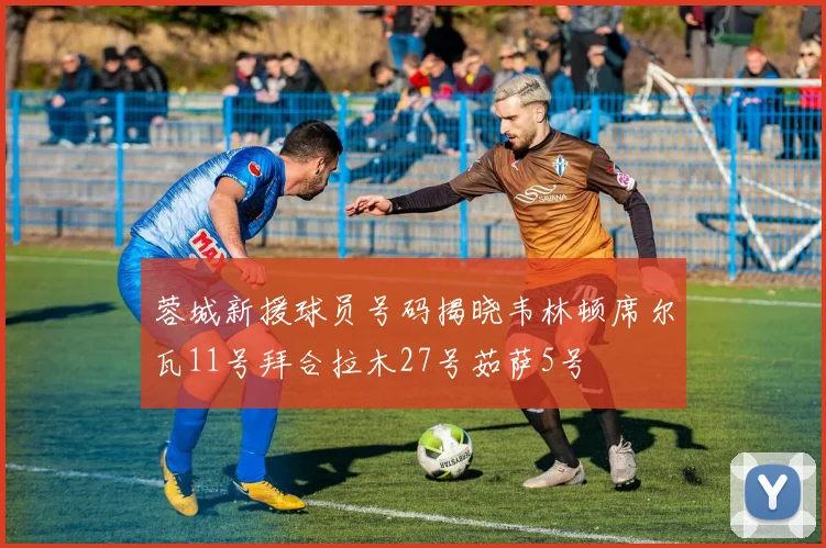 蓉城新援球员号码揭晓韦林顿席尔瓦11号拜合拉木27号茹萨5号